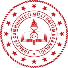 Elektrik-Elektronik Meslek Lisesi